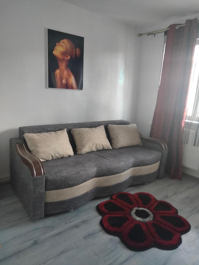 Apartament Geo Nehoiu Exterior photo