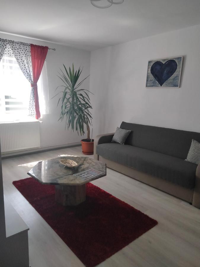 Apartament Geo Nehoiu Exterior photo